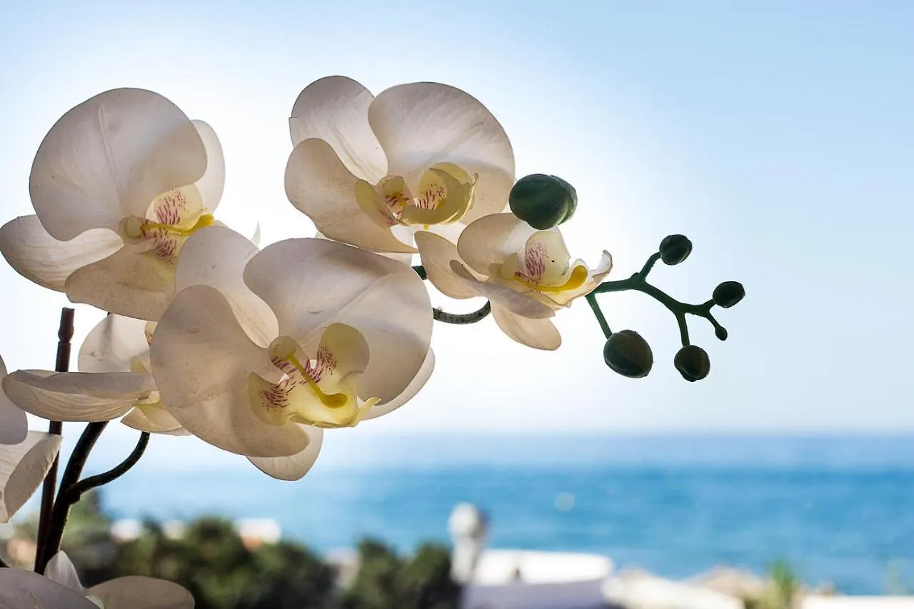 Sea Front Studio In Marbella Apartment